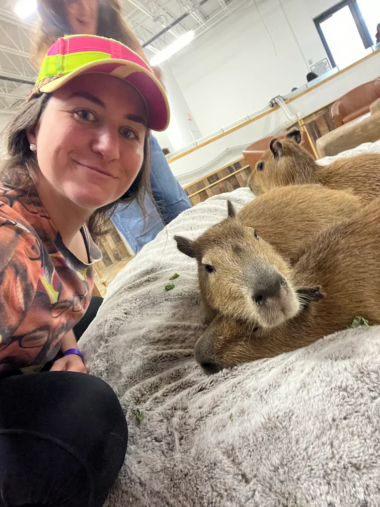 A guest taking a photo with two capybaras resting beside her