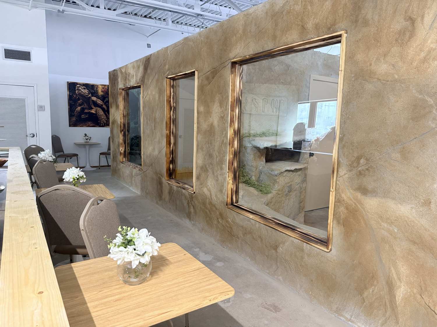 Desert habitat viewing windows in a hand-textured stone wall beside cafe tables