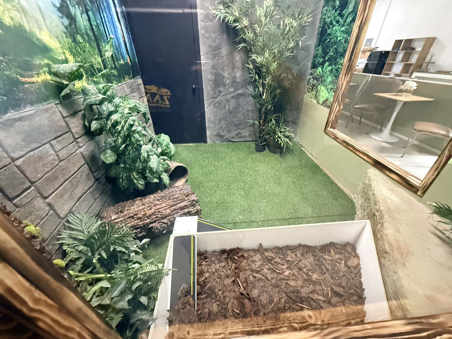 Forest habitat seen through its viewing window